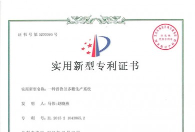專利證書