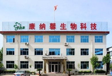 公司環(huán)境