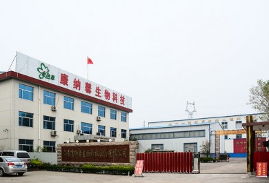 公司環(huán)境