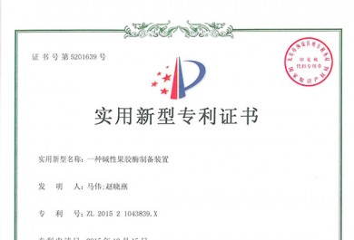 專利證書
