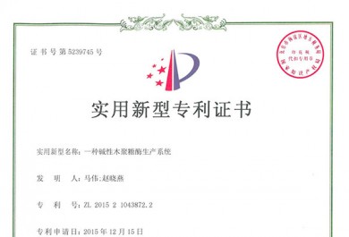 專利證書